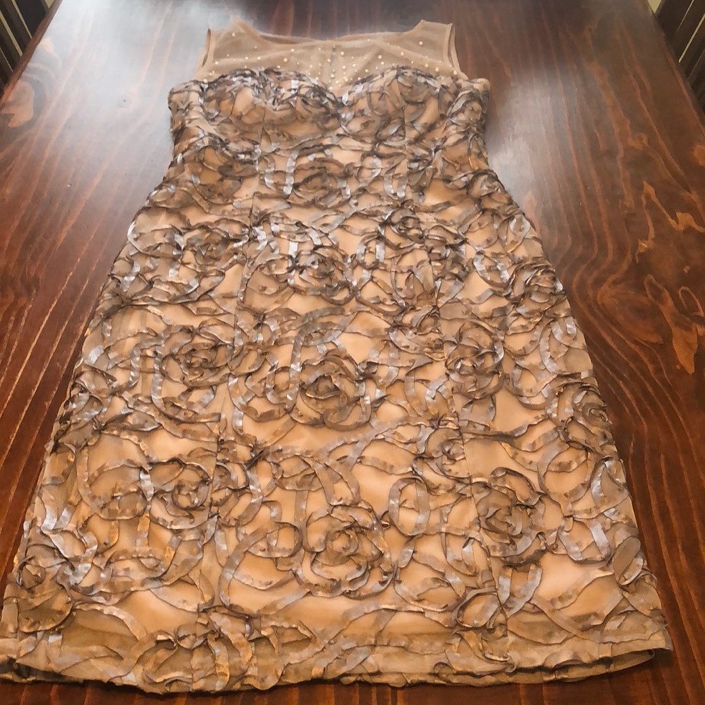 Ignite Evenings Cocktail Dress